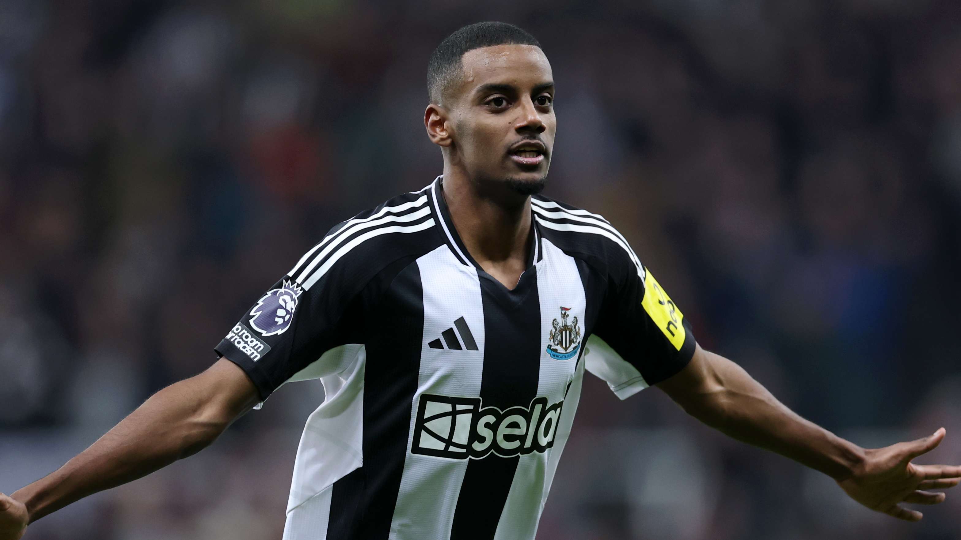 的庞大球迷 的庞大球迷