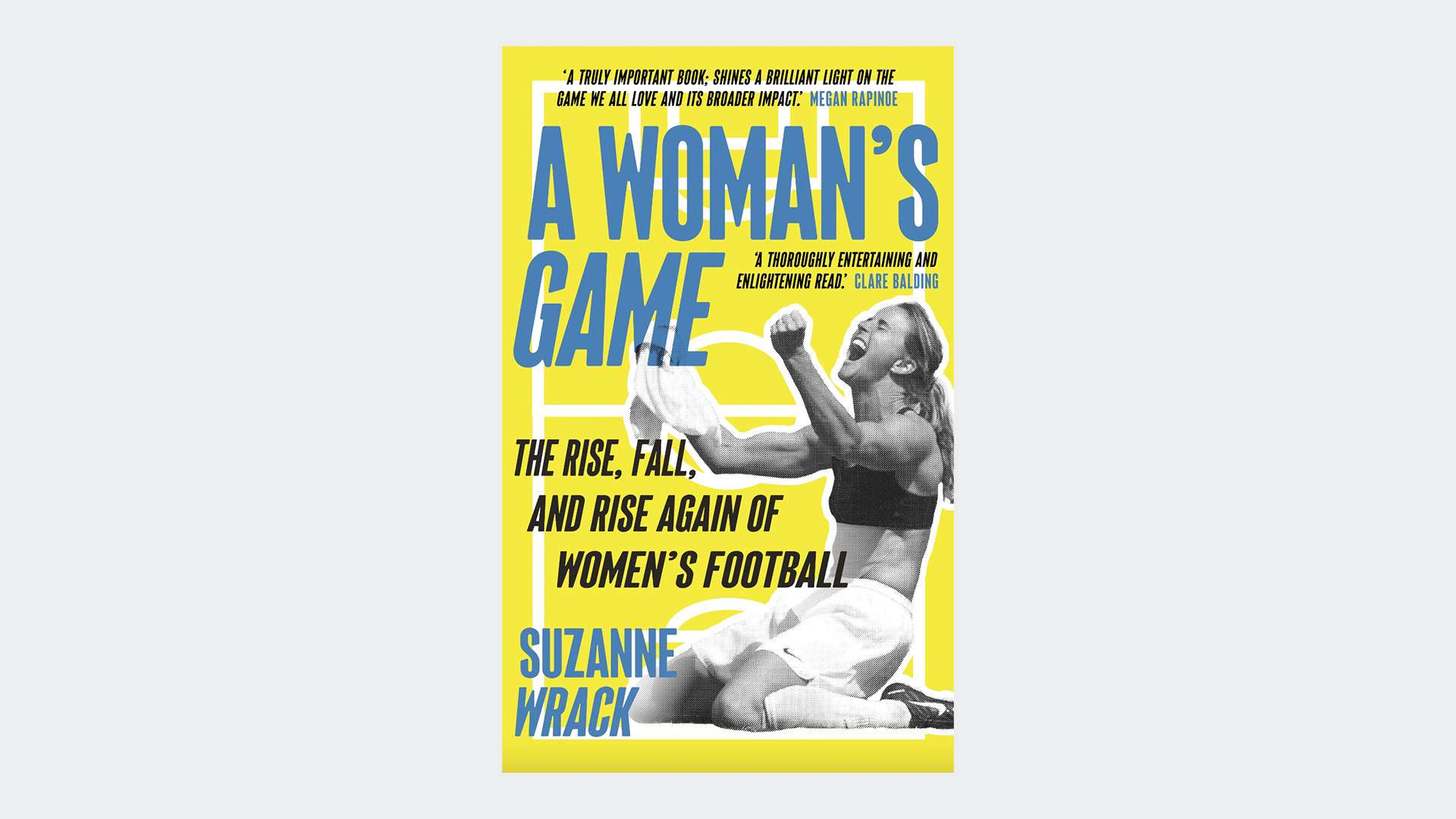 迅速引起了 迅速引起了